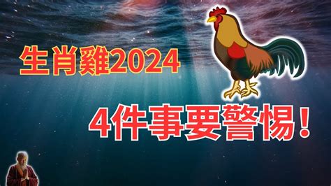 1969屬雞2024運勢|属鸡1969年出生的人2024年全年运程运势